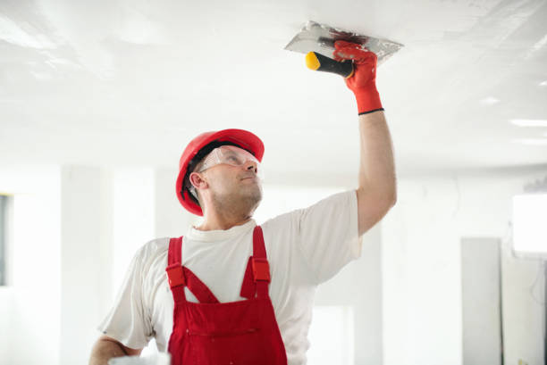 Best Fire-Damaged Drywall Repair  in USA